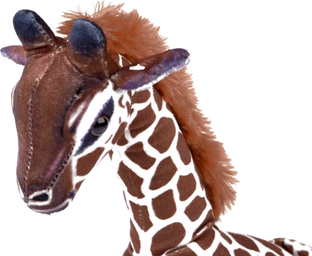 Biztonságos részletek és minőségi kidolgozás