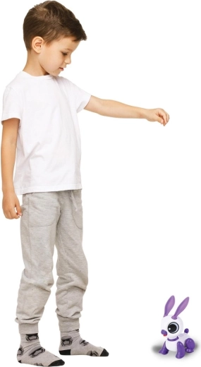 Előre-hátra mozgás és vidám tánc