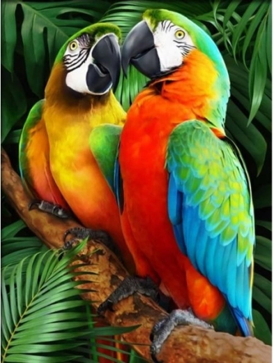 Gyémántmozaik (diamond painting) Színes arák 30 × 40 cm