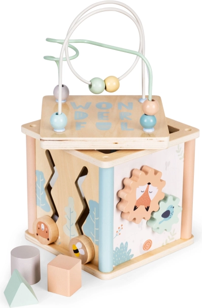 Fa oktató kocka válogatóval ECOTOYS