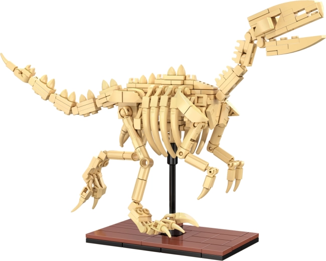 Világító csontvázak és kiállítható kivitel