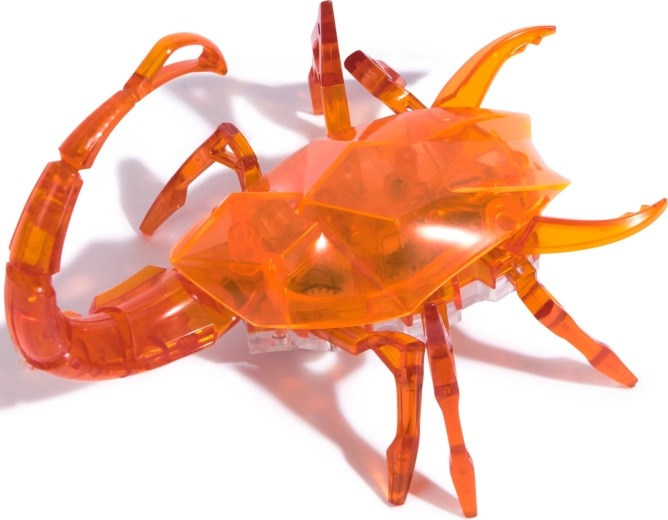 Átlátszó dizájn és strapabíró kivitel