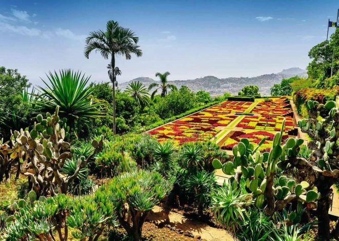 Puzzle 1000 darab – botanikus kert, Madeira, Portugália RAVENSBURGER