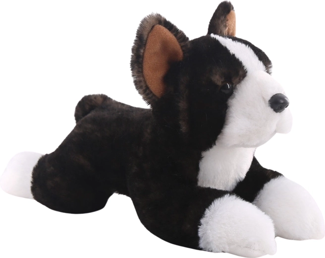 Plüss bostoni terrier 25 cm