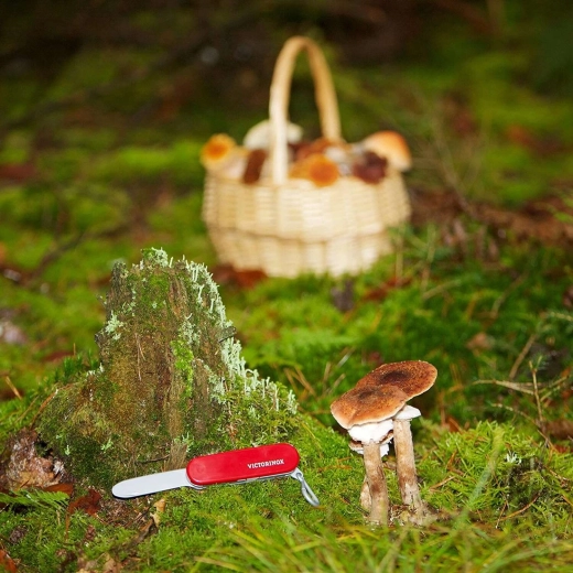 Licencelt VICTORINOX dizájn