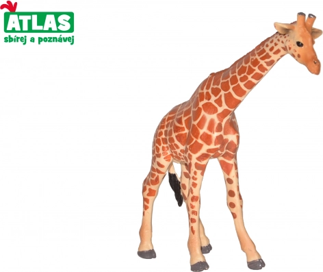 Zsiráf figura 12 cm