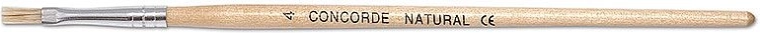 Lapos iskolai ecset CONCORDE Natural 4-es