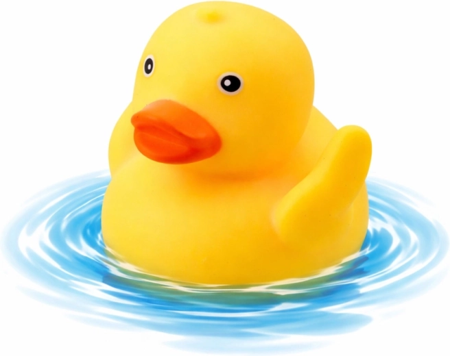 Úszó kiskacsa a fürdés öröméért