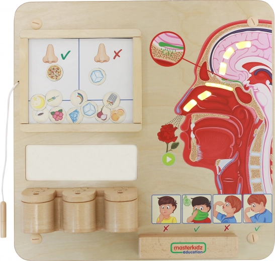 MASTERKIDZ Montessori oktatótábla – a szaglás érzéke