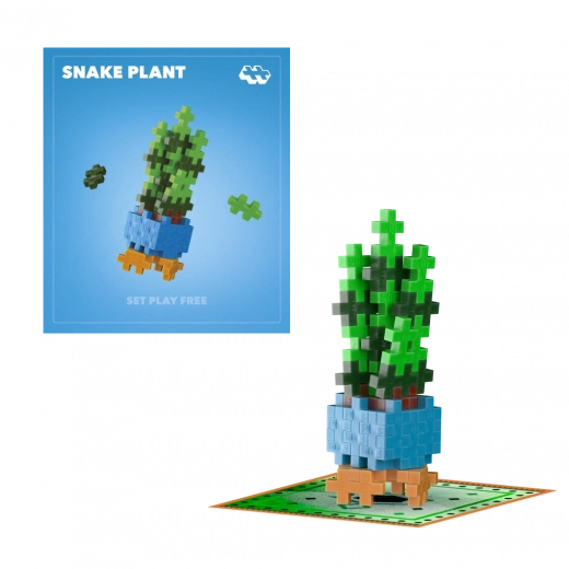 Plus-Plus virág Snake Plant