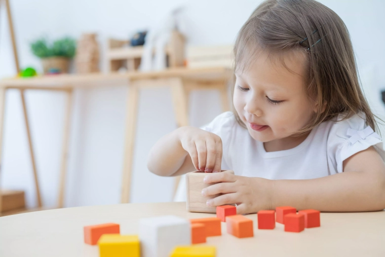 Biztonságos és környezetbarát PlanToys kivitel