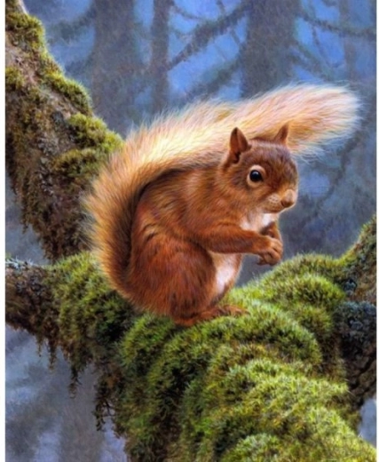 Gyémántkirakó (diamond painting) mókus 30 × 40 cm - 1 db