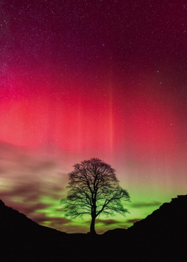 Heye Puzzle A Természet Ereje: Sycamore Gap 1000 Darab