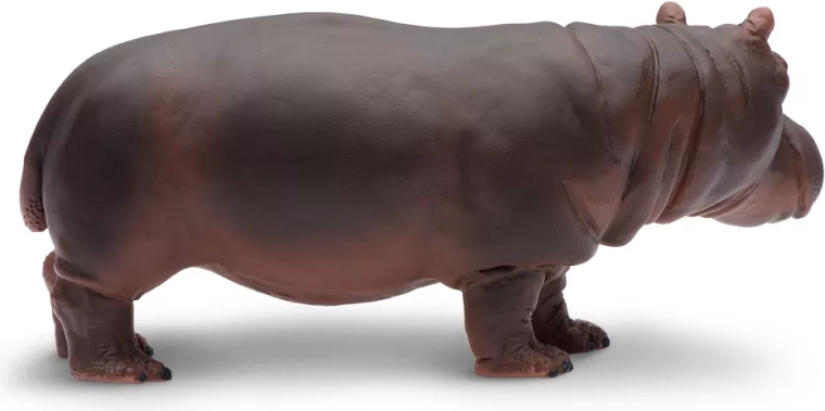 Ideális játékhoz és tanuláshoz