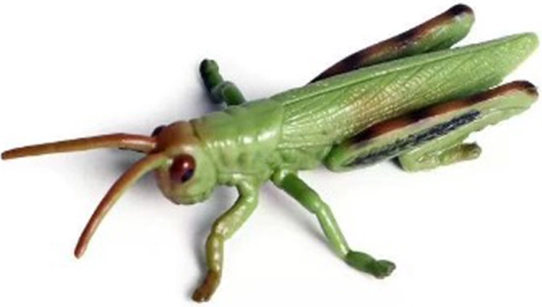 Rovar – szöcske 9 cm
