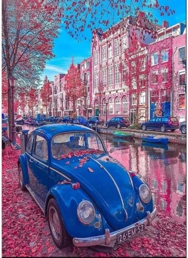 Festés számok szerint keretes vásznon 40 × 50 cm retro bogár