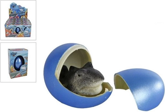 Növekvő tojás cápával, 6 cm – 1 darab