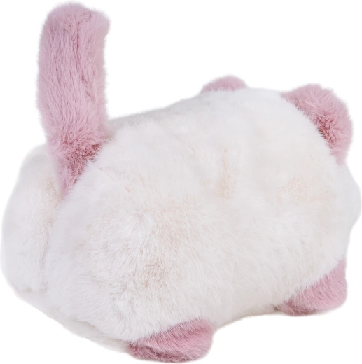 Hangfelvétel és lejátszás