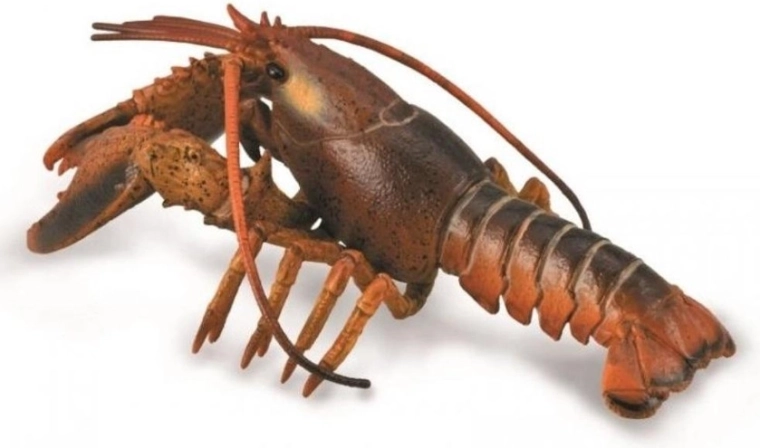 Collecta homár – élethű oktató figura