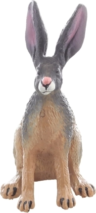 Ideális méret gyűjteményhez és útra