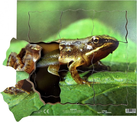 Just Jigsaws Béka és annak életciklusa - fa réteges puzzle