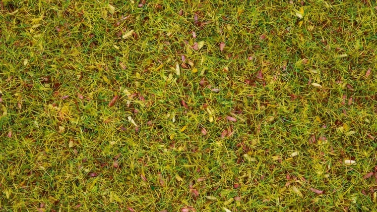 Noch statikus fű – virágzó rét 2,5 mm