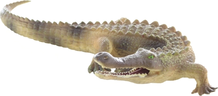 Ideális méret a gyerek kézbe