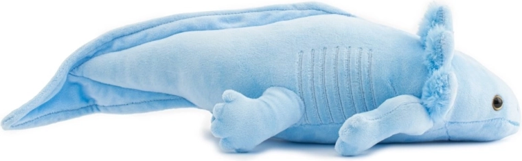 Axolotl élethű részletei