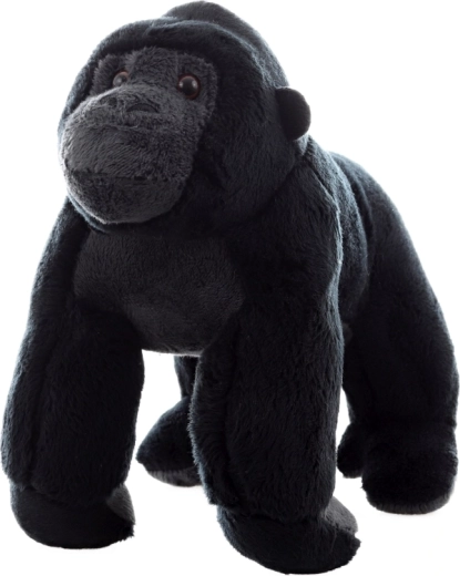 Biztonságos 0+ kortól