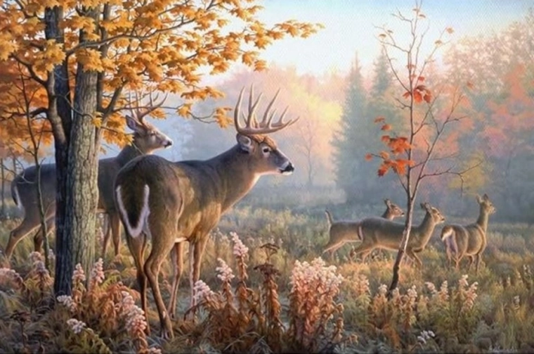 Gyémántfestés Szarvasok a reggeli ködben 30x40 cm