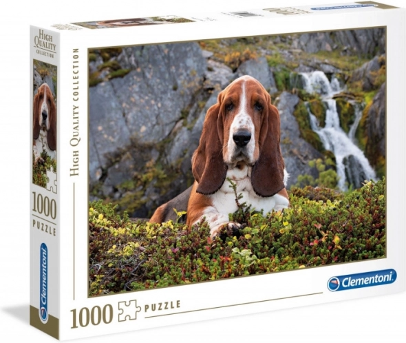 Basset Hound motívum a természetben