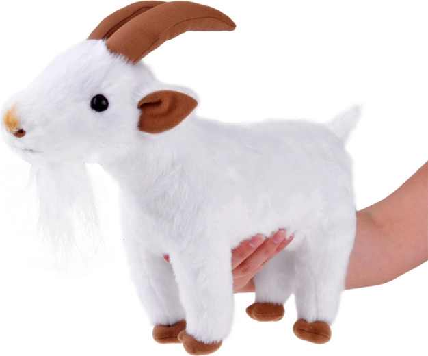 Könnyű és pont kézre áll a gyerekeknek