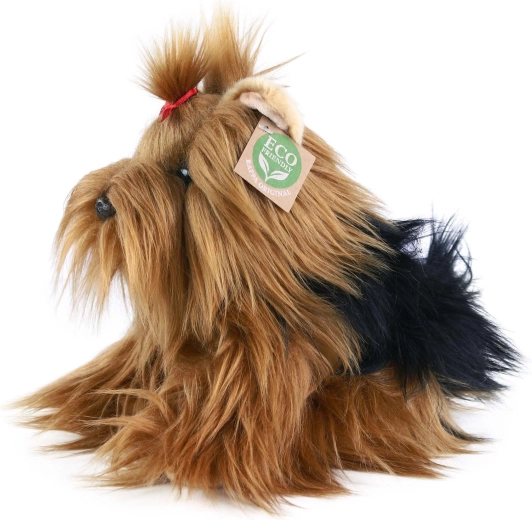 Puha yorkshire terrier