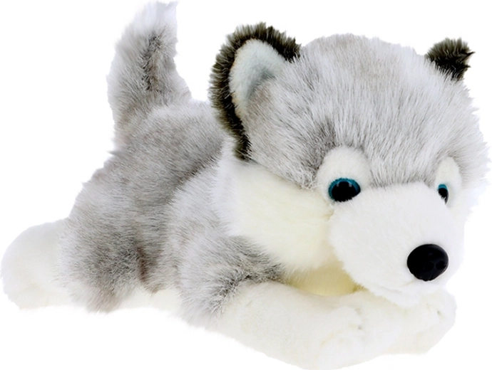 Plüss husky kölyök 30 cm KEEL TOYS Signature Forever