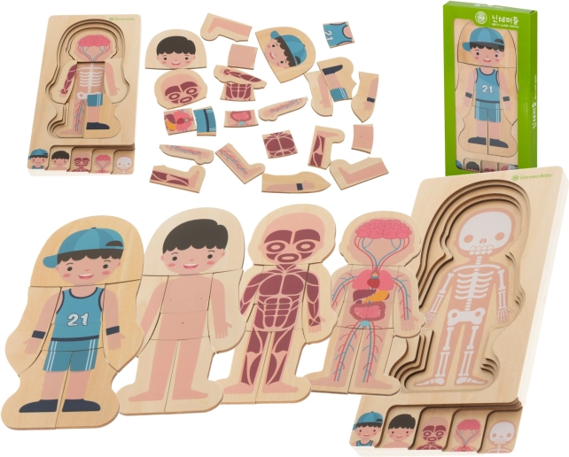 Fából készült réteges Montessori emberi test puzzle
