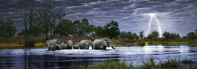 panoráma puzzle Elefántcsorda Botswana 2000 darab