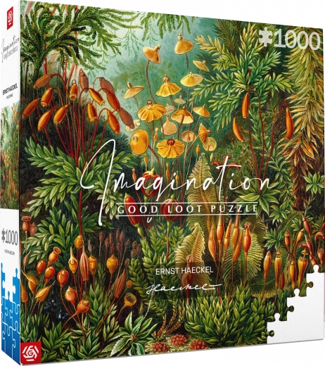 Puzzle Imagination: Ernst Haeckel - Muscinae 1000 darabos