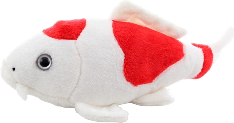 A koi ponty élethű részletei