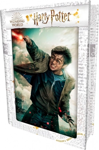 3D puzzle HARRY POTTER – Harry, 300 darab