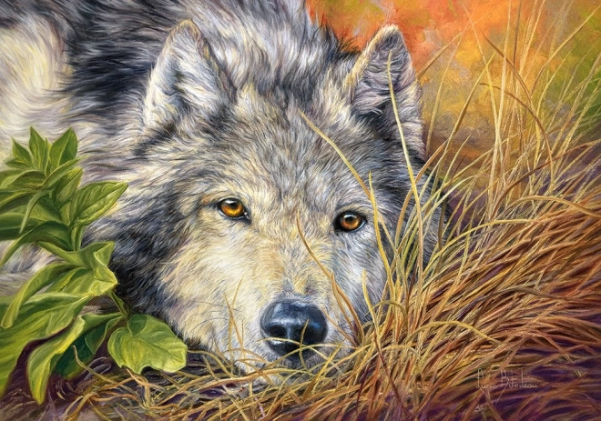 Puzzle Castorland Tiszta Lélek 500 darabos