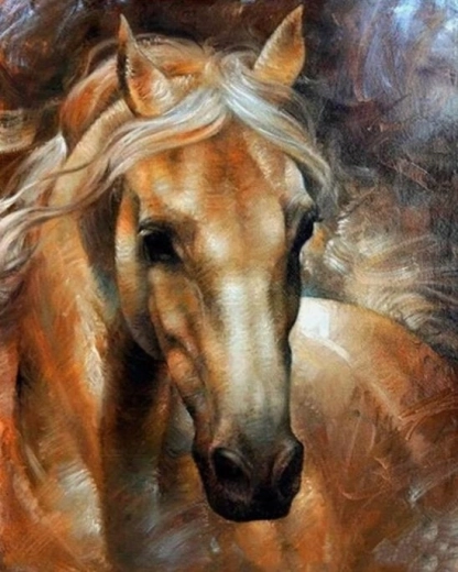 Norimpex számfestő készlet lóportréval, 40 × 50 cm