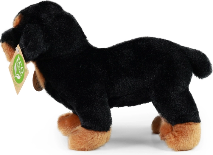 A RAPPA Exclusive Collection része