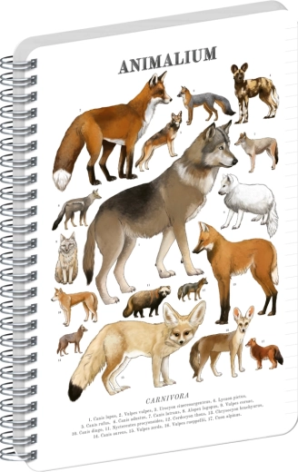 Notique Animalium spirálfüzet – kutyafélék, vonalas, A4