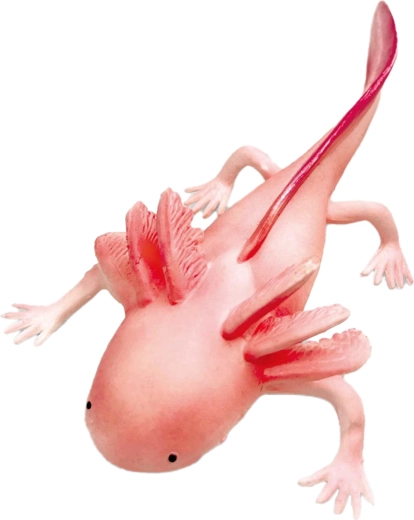 Gumiból készült axolotl, 19 cm