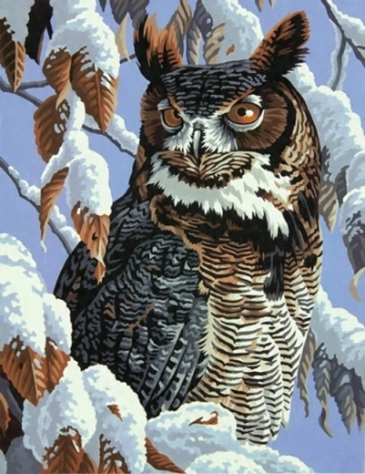 Norimpex Számfestő készlet: Bagoly havas ágon, 40 × 50 cm