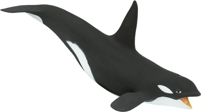 Safari Ltd. kardszárnyú delfin (orka) figura – 1 db