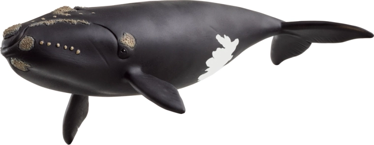 Schleich állatfigura – észak-atlanti bálna