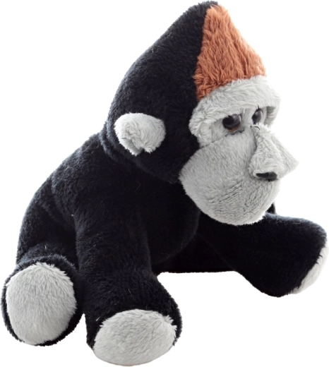 Cuki részletek és barátságos arckifejezés