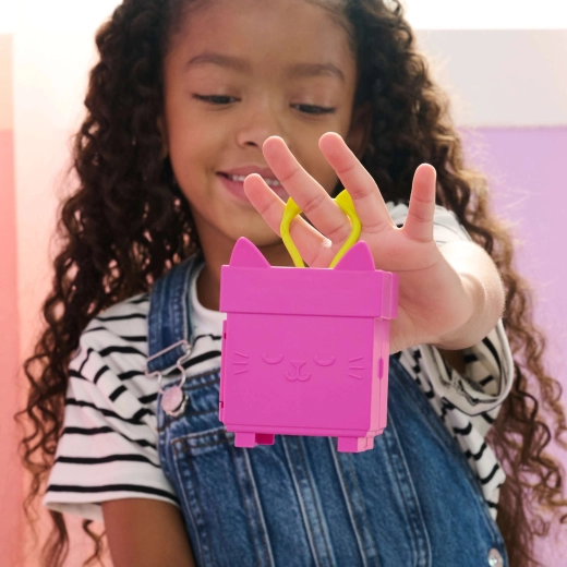 Hordozható, cicás formájú minibox