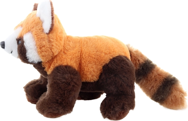 A vörös panda élethű részletei